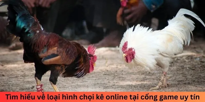Tìm hiểu về loại hình chọi kê online tại cổng game uy tín